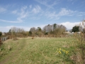 2011 Site Views 1