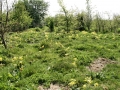 2011 Site Views 2
