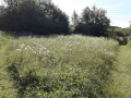 20200526_093118