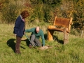 Bench Replacement Oct 2010 1