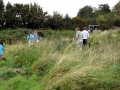 Harvest Afternoon 2007 2