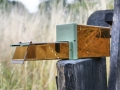 Mammal Trapping 2009 1