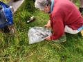 Mammal Trapping 2009 13