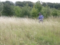 Mowing Aug 2011 1