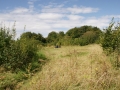 Mowing Aug 2011 7