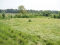 Mowing May 2010 6