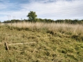 Mowing Sept 2009 3