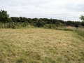 Mowing Sept 2009 5