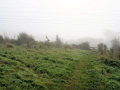 October Views 2008 1