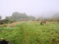 October Views 2008 2