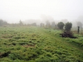 October Views 2008 3