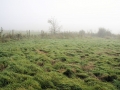 October Views 2008 4