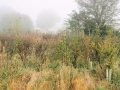 October Views 2008 5