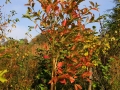October Views 2008 7