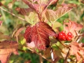 October Views 2008 10