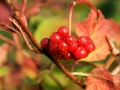 October Views 2008 11