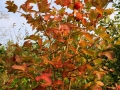 October Views 2008 12