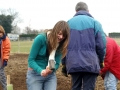 Planting Jan 2006 10