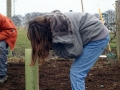 Planting Jan 2006 11