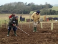Planting Jan 2006 14