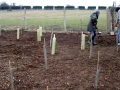 Planting Jan 2006 15