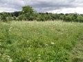 Site Views July 2012 1