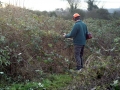 Tackle the brambles 08