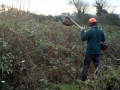 Tackle the brambles 09