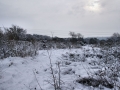 Views Dec 2010 4