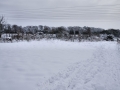 Views Dec 2010 7