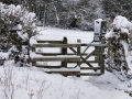 Views Dec 2010 8