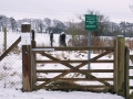 Views Feb 2009 1