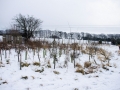 Views Feb 2009 4
