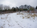 Views Feb 2009 5