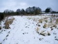 Views Feb 2009 9