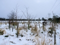 Views Feb 2009 10