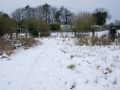 Views Feb 2009 11