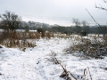 Views Feb 2009 2