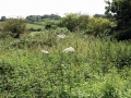 Views July 2007 4