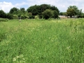 Views May 2008 9