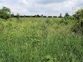 Views May 2008 11