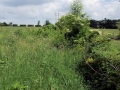 Views May 2008 12