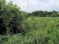 Views May 2008 13