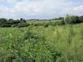 Views May 2008 14