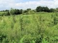 Views May 2008 15