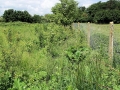 Views May 2008 16