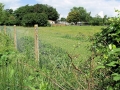 Views May 2008 17