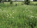 Views May 2008 4
