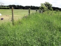Views May 2008 1