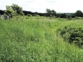 Views May 2008 2